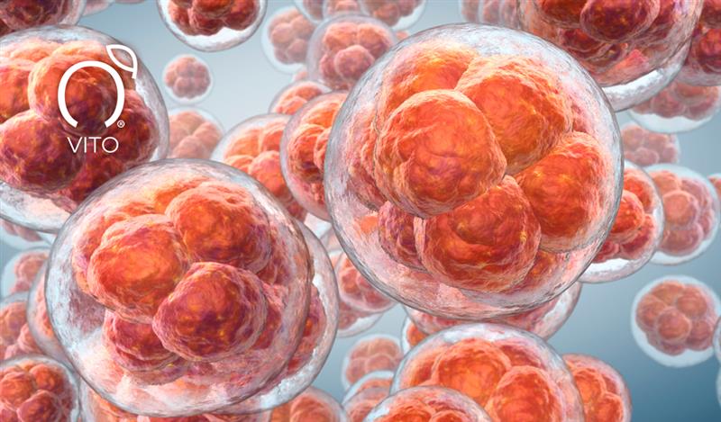 Glutatión: el antioxidante maestro que protege tu salud