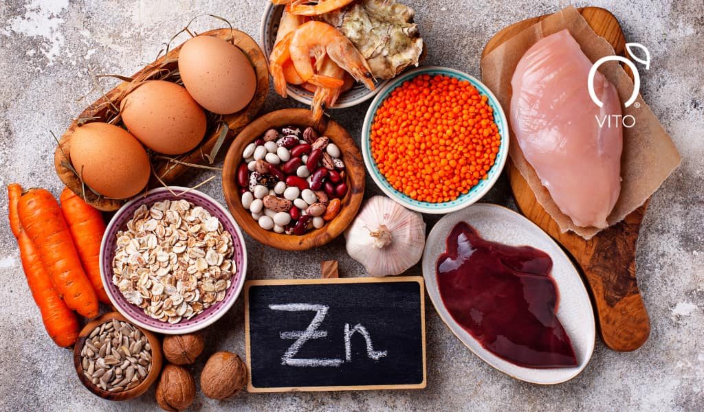 Alimentos ricos en Zinc para el cuidado de la nutrición humana.